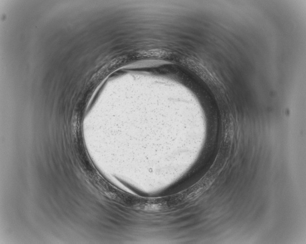 X0000085210647200704091907