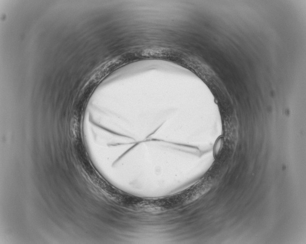 X0000085210648200704091907