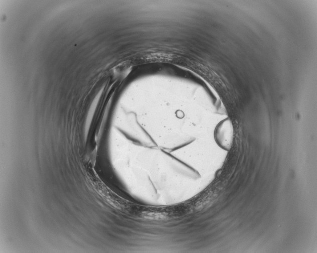 X0000085210649200704091907