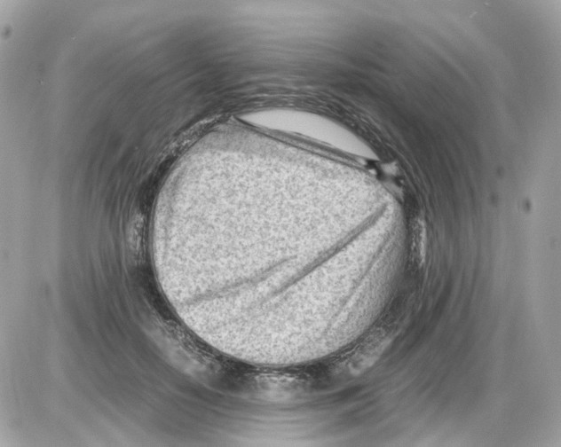 X0000085210650200704091907