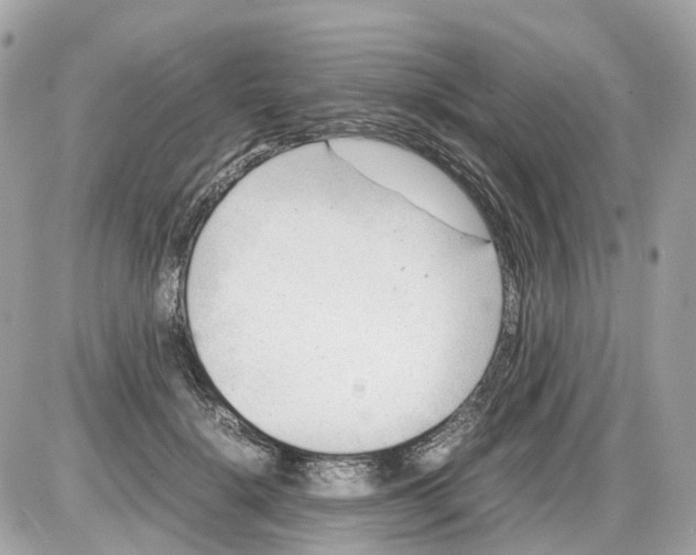 X0000085210652200704091907