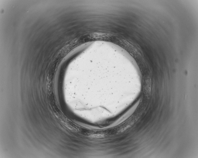 X0000085210653200704091907