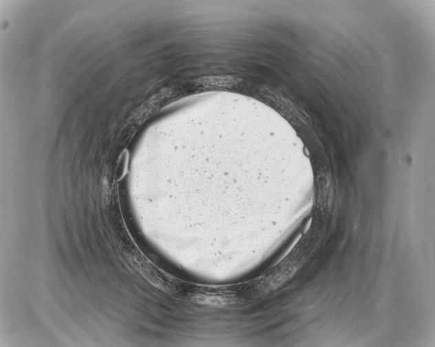 X0000085210655200704091907