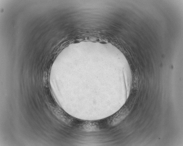 X0000085210656200704091907