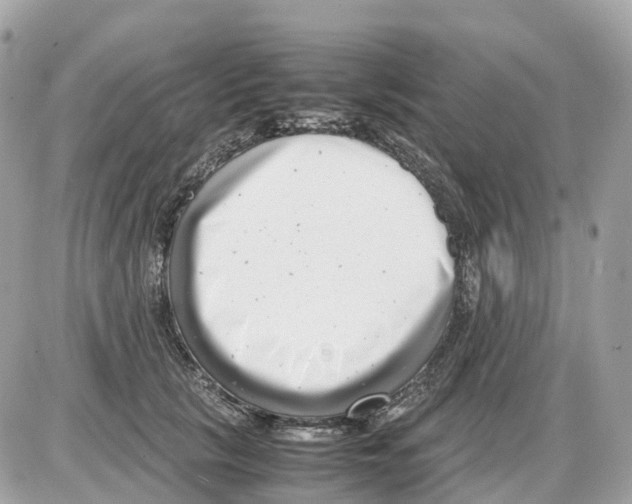 X0000085210657200704091907