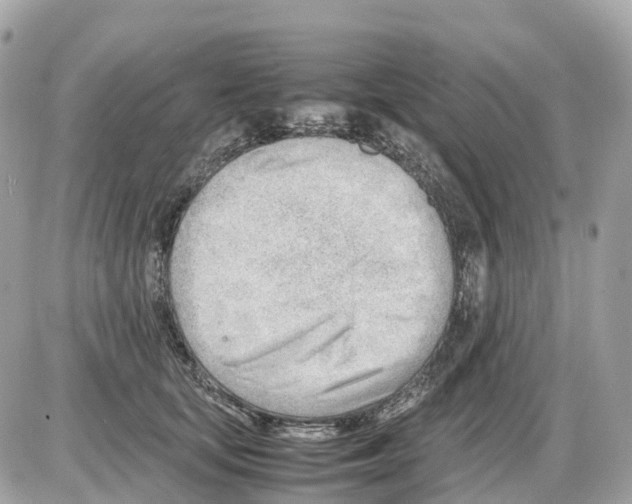 X0000085210659200704091907