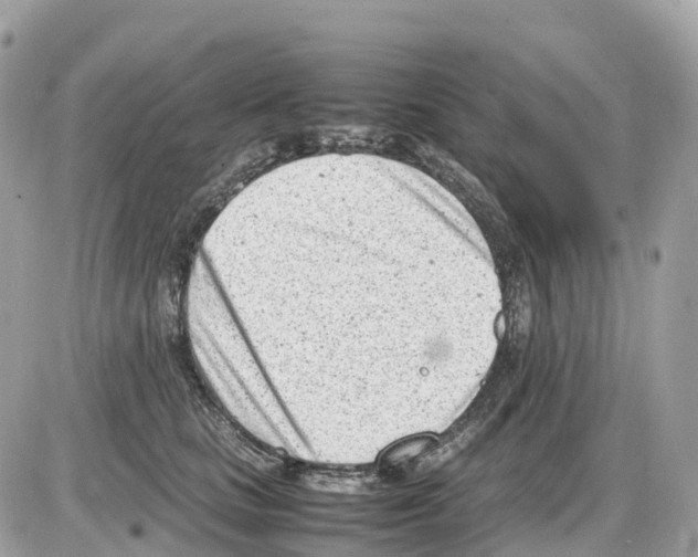 X0000085210661200704091907