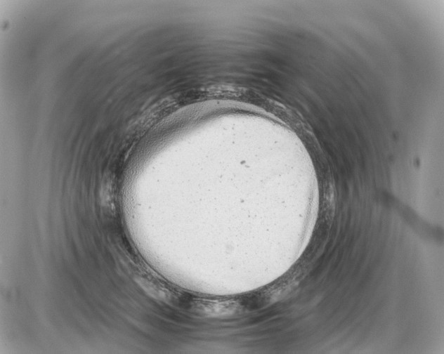 X0000085210663200704091908