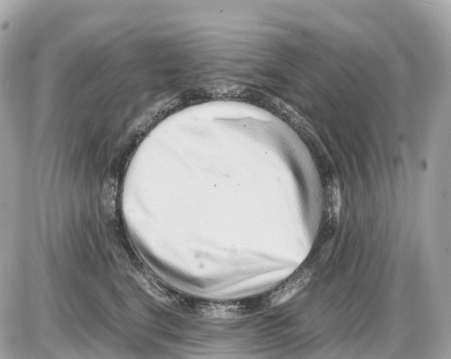 X0000085210664200704091908