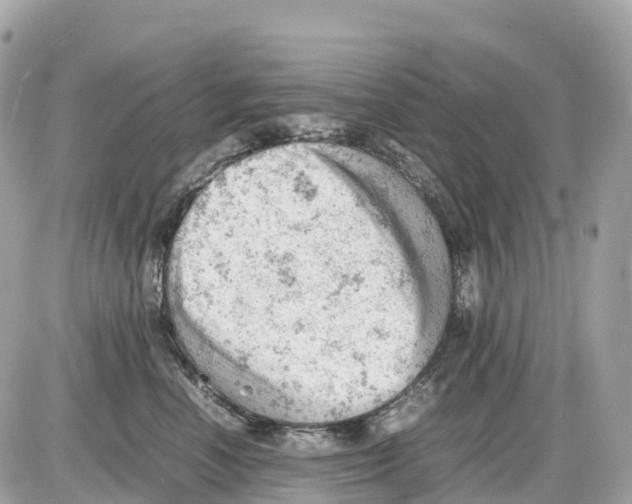 X0000085210666200704091908