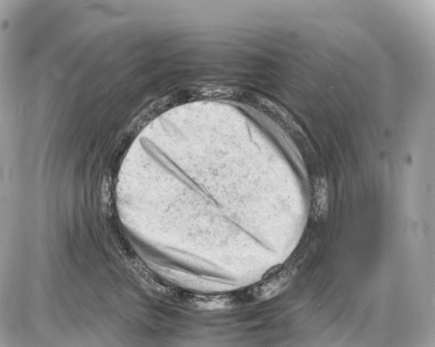 X0000085210667200704091908