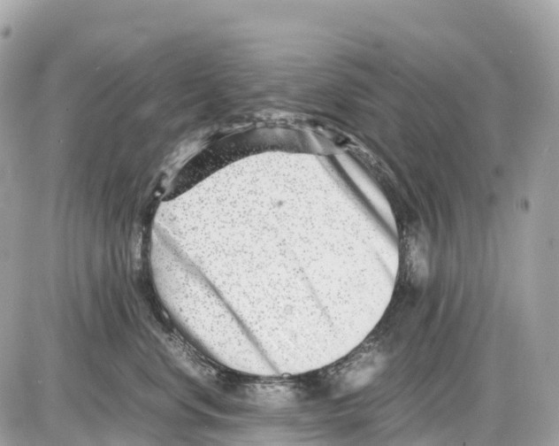 X0000085210668200704091908