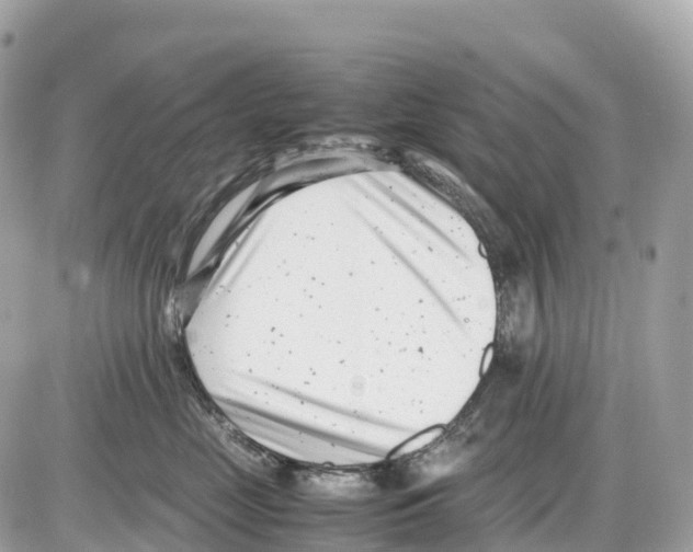 X0000085210669200704091908