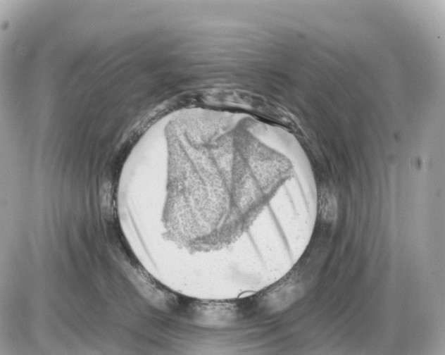 X0000085210670200704091908