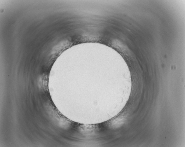 X0000085210672200704091908