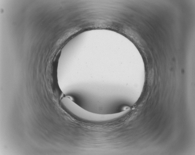 X0000085210673200704091907