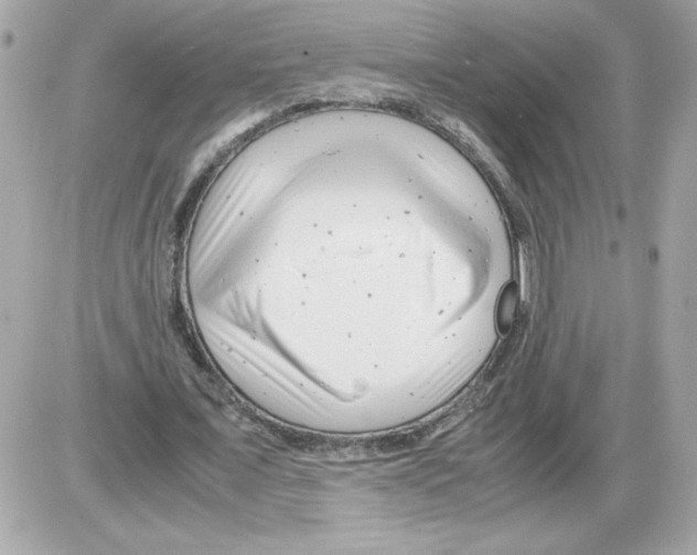 X0000085210675200704091907