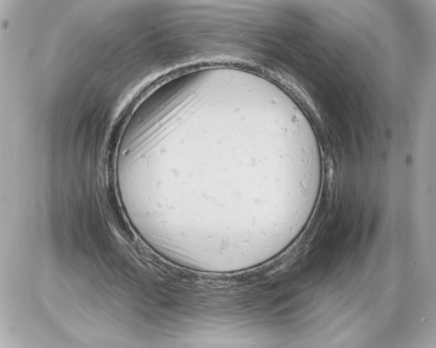 X0000085210676200704091907