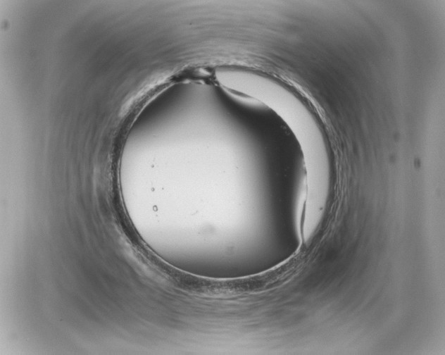 X0000085210677200704091907