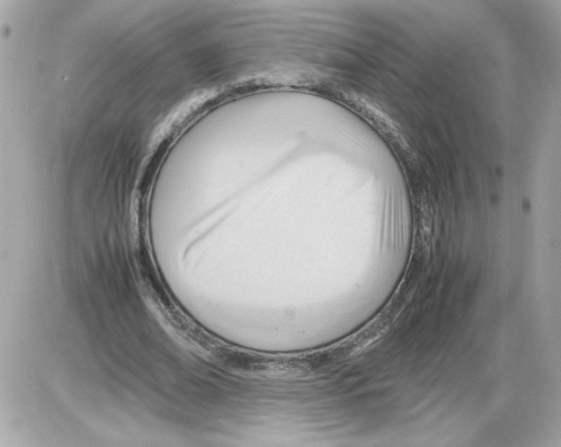 X0000085210678200704091907