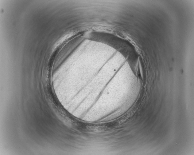 X0000085210679200704091907