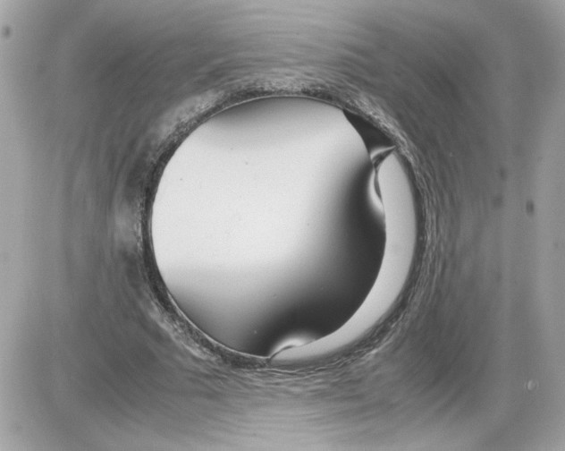 X0000085210681200704091907