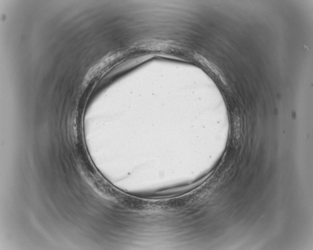 X0000085210682200704091907