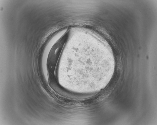 X0000085210683200704091907