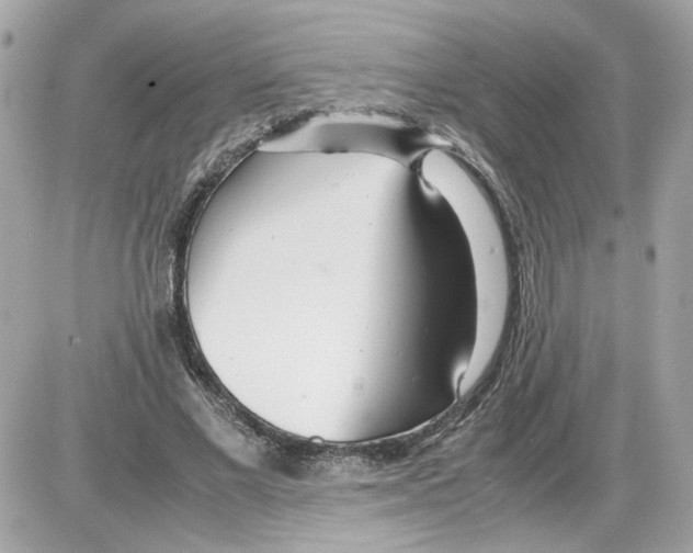 X0000085210685200704091907