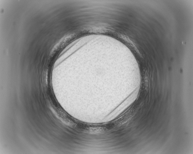 X0000085210686200704091907