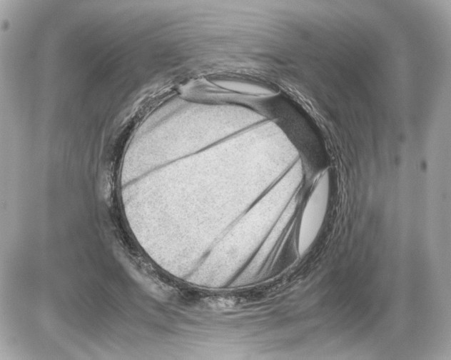 X0000085210687200704091907