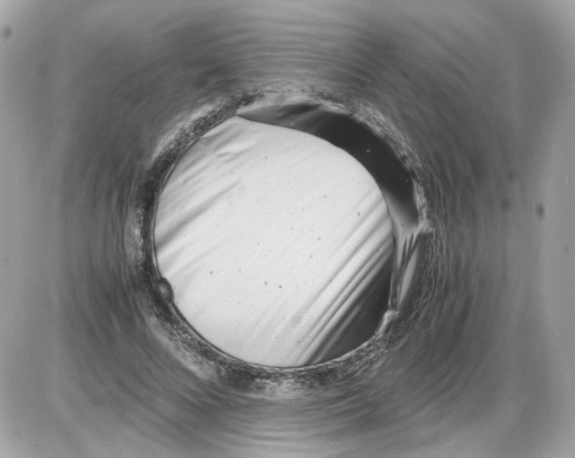 X0000085210688200704091907