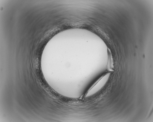 X0000085210689200704091907