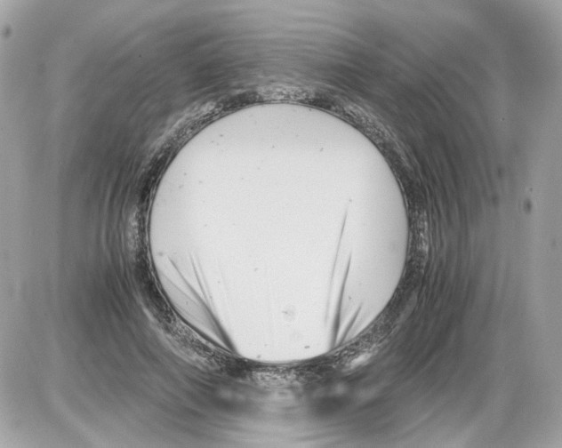 X0000085210690200704091907