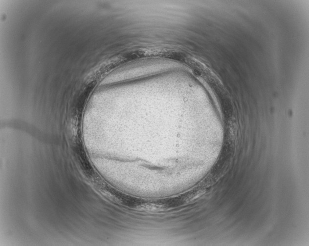 X0000085210691200704091907