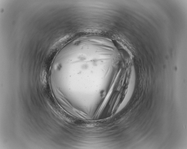 X0000085210692200704091907