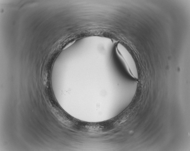 X0000085210693200704091907