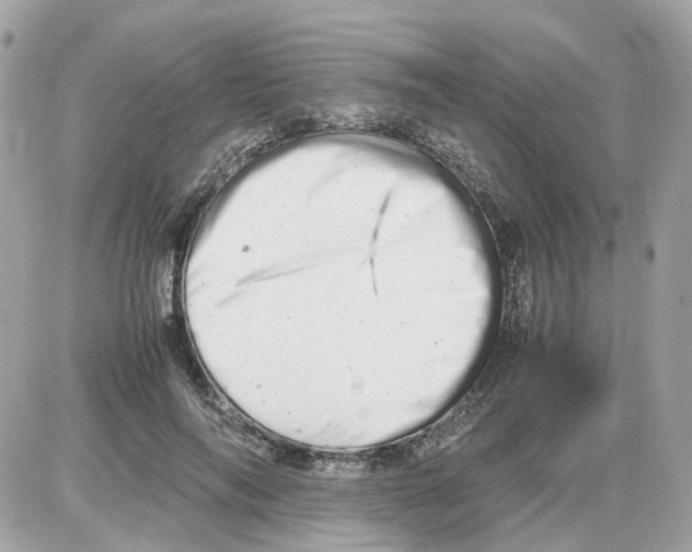 X0000085210694200704091907