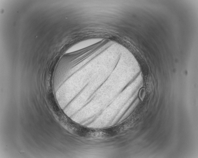 X0000085210695200704091907