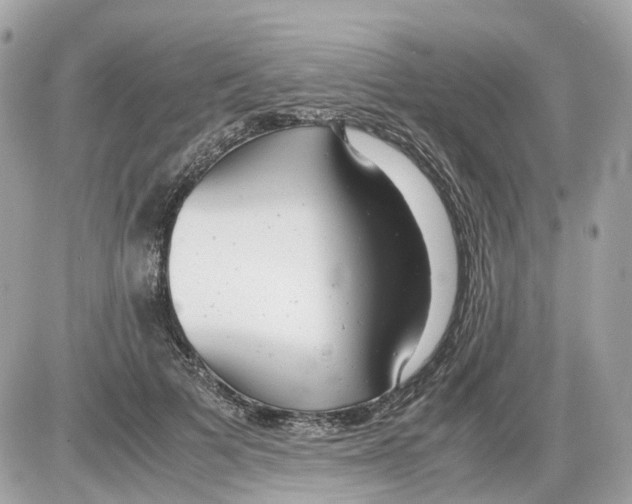 X0000085210697200704091906