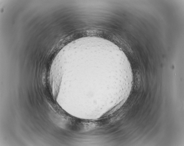 X0000085210698200704091906