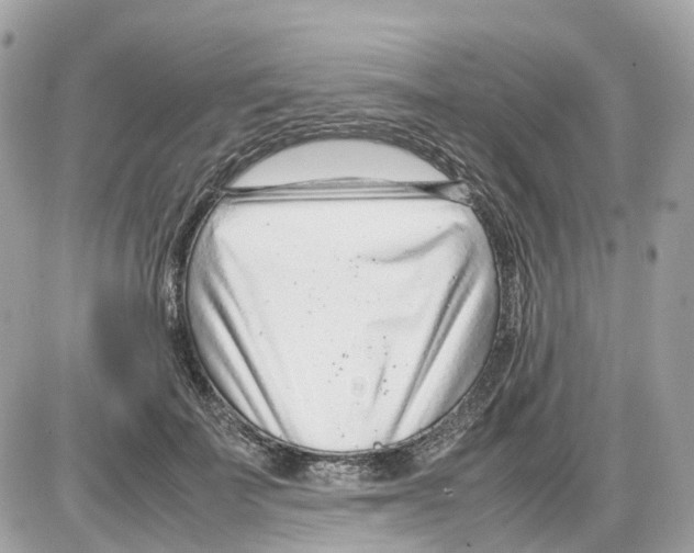 X0000085210699200704091906