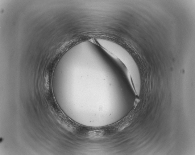 X0000085210700200704091906