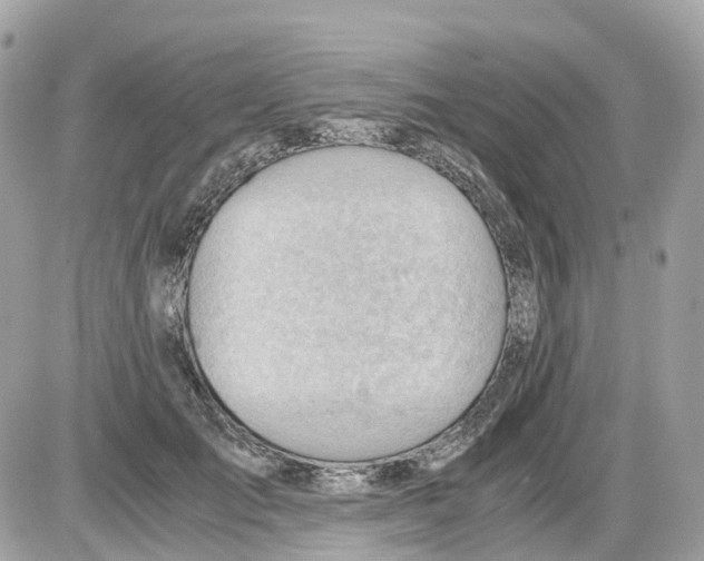 X0000085210701200704091906