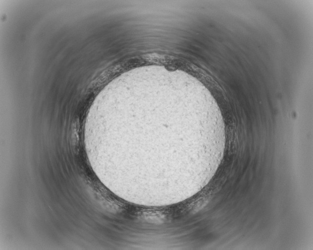 X0000085210702200704091906