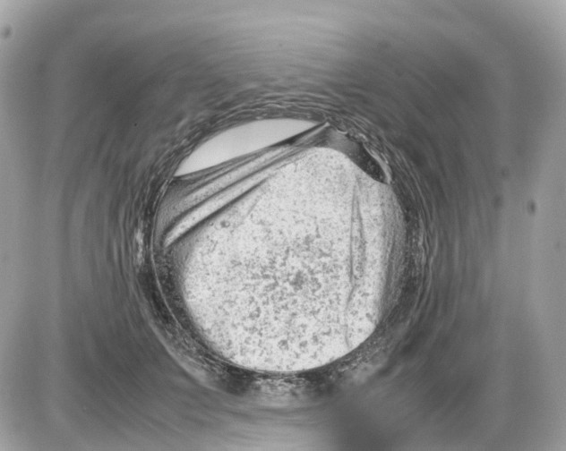 X0000085210703200704091906