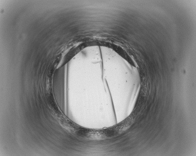 X0000085210704200704091906