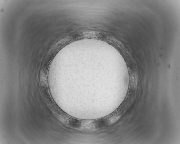 X0000085210705200704091906