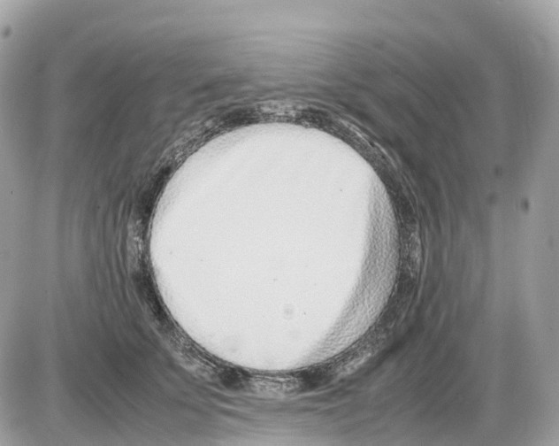 X0000085210707200704091906