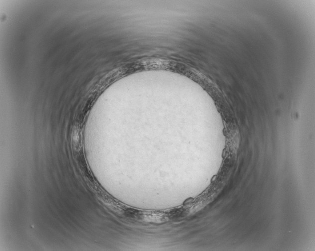 X0000085210709200704091906